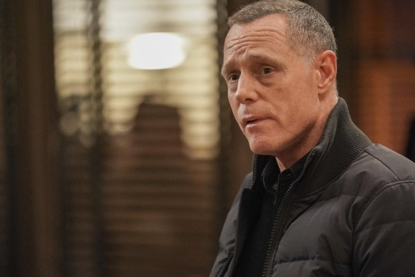 Jason Beghe and Angie Janu Married Life. What's his current Status ...